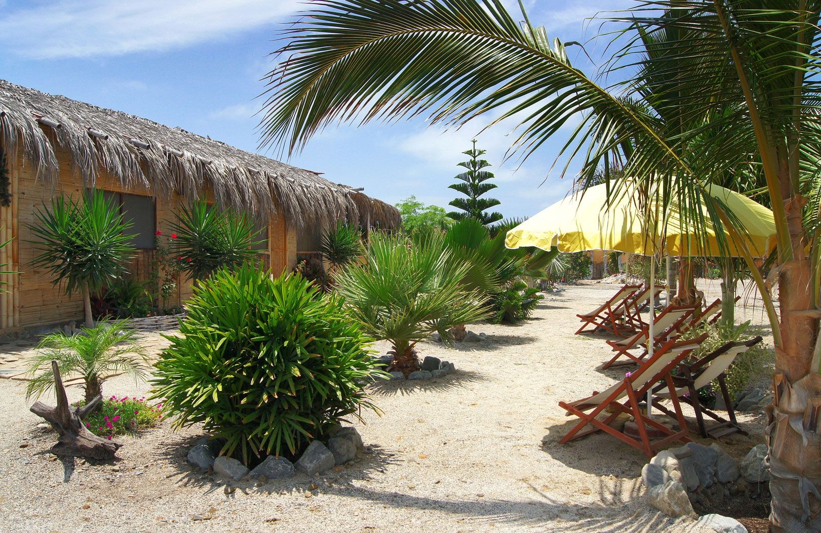 בניין תמונה