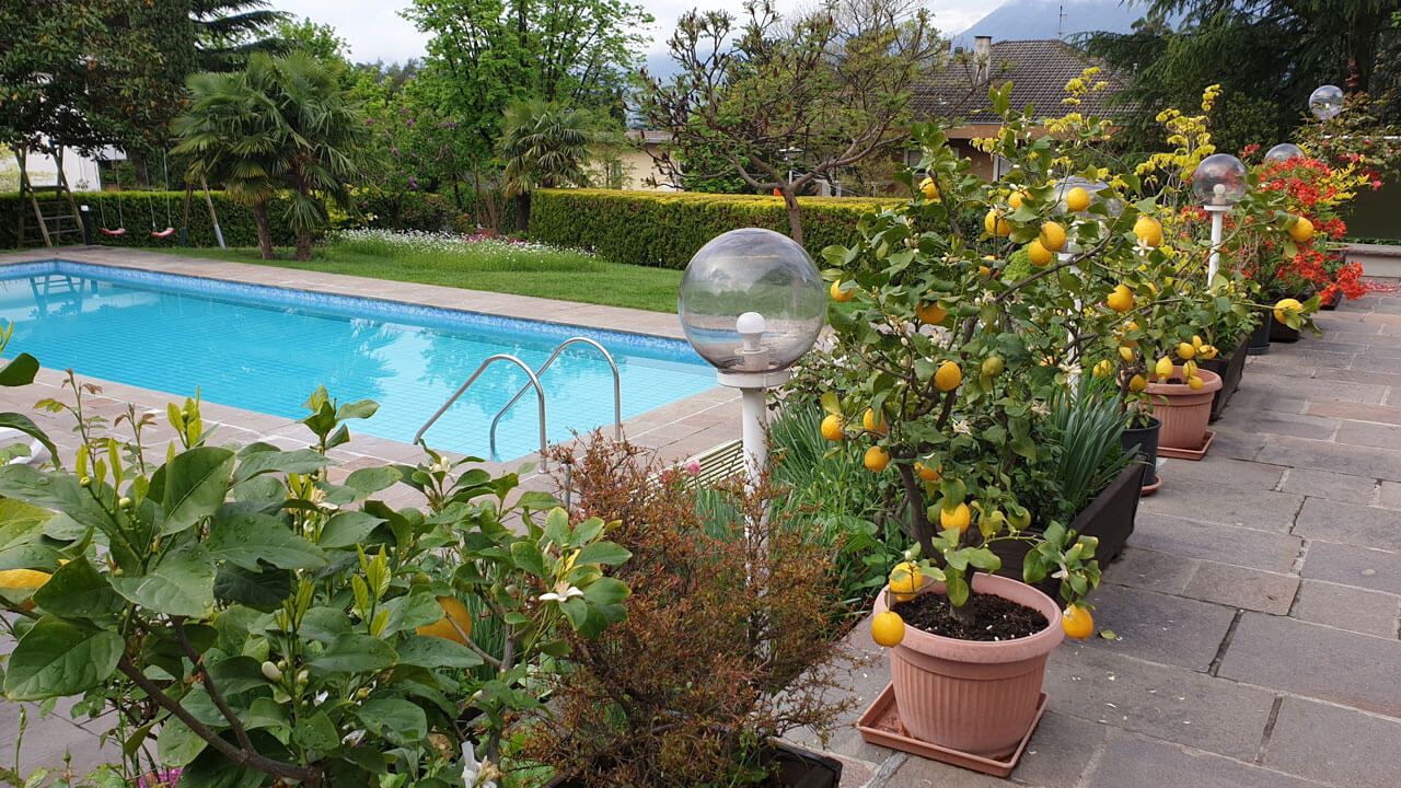 נוחות המלון